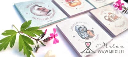 Magneetti - koita ymmärtää - Image 3