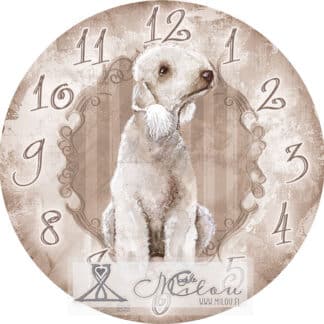 kello bedlingtoninterrieri istuva