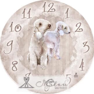 kello kaksi bedlingtoninterrieriä