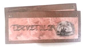 eurasier-ovikyltti