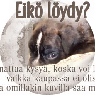 Sekarotuinen