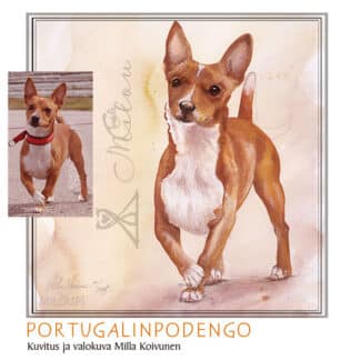 Portugalinpodengo