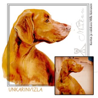 Unkarinvizla