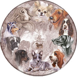 Koirarodut - mallisto