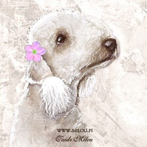 Magneetti bedlingtoninterrieri